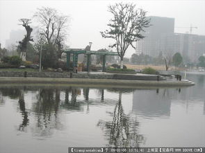 寧波寧南路綠化設計與園林工程全覽