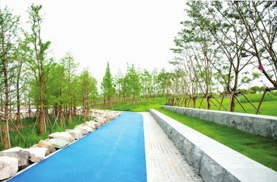 景觀提升項目投標文件 園林綠化工程設計及施工一體化方案