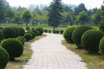 園林綠化工程 從設計構思到施工落地的全程解析